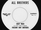 Ann Robinson - You Did It - All Brothers -rare limited Philly Soul-Reissue 45