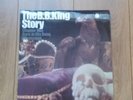 The B.B. King Story. Chapter One 12in Vinyl. Excellent condition. Blue Horizon.