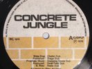 KING TUBBY - CONCRETE DUB - CONCRETE JUNGLE ( VERY RARE KILLER DUB LP )