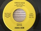 RARE Private Funk Northern Soul 45 - Delores Eiler Aqua Gem - Mint-