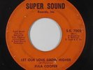 Northern Soul 45 - Eula Cooper - Let Our Love Grow Higher - Super Sound - mp3