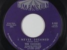 Northern Soul 45 - Cookies - I Never Dreamed - Dimension - mp3