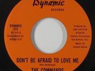 Northern Soul 45 - Commands - Don't Be Afraid To Love Me - Dynamic - VG+ mp3