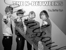 60S PSYC MOD ROCK COLUMBIA THE N-BETWEENS YOU BETTER RUN PICTURE SLEEVE