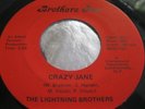 Rare New York Rock 45 : The Lightning Brothers   Wild Smoke   Brothers Two 6023