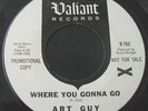 45rpm record    GARAGE BAND    ART GUY    VALIANT 762