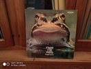 FROGGIE BEAVER From The Pond (Froggie Beaver dsi 7301) US orig.  1973