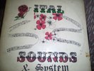 DUB SPECIALISTS - RARE ITAL SOUNDS & SYSTEM DUB LP   VG