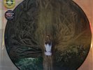 The Mars Volta - The Widow Picture Disc 12