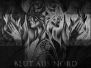 Blut aus Nord - Deus Salutis Meae LP Grey Vinyl
