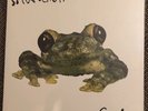 Silverchair FROGSTOMP Neon Green Vinyl LP SRC019 Limited 500 copies worldwide