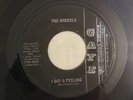 The Mondels - I Got a Feeling - Gaye Records Orig Garage Punk Pounder