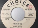 Sandy Scott 