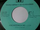 Pedro Espina Guaguanco 7