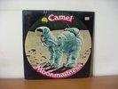 CAMEL 