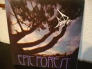 RARE BIRD  EPIC FOREST org.UK 1st.Press.mit Single Top-Condition