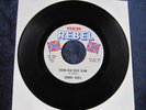 JOHNNY REBEL   KAJUN KLU KLUX KLAN / LOOKING FOR A HANDOUT   REB 45