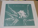 DEEP FREEZE MICE Saw A Ranch House Burning Last Night - Orig UK LP DIY Post Punk