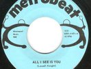HEAR Jokers Wild-All I See Is You M '68 MN DRIVING PSYCH FRANTIC GUITAR THEREMIN