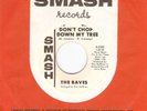 HEAR Raves-Don’t Chop Down My Tree ELUSIVE '67 NY ANGLO-ESQUE FUZZ POPSIKE GEM