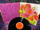 1967 Orig THE SEEDS   FUTURE Psych Garage FLOWER POWER = ACID PSYCHEDELIC LP