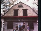 The Feelies - Only Life vinyl LP A&M AMA5214 1989