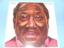 Muddy Waters 