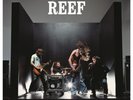 Reef - Together The Best Of 180g vinyl LP NEW/SEALED Gt Hits Glow Replenish