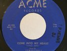 Soul Doo Wop R&B 45 Tempotones Come Into My Heart on Acme HEAR