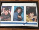 Kate Bush - Signed & Framed Hounds Of Love Picture  From 1985 See Details