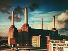 PINK FLOYD ANIMALS [LP] NEW VINYL