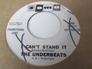 THE UNDERBEATS  GARAGE 2 SIDER ON SOMA DJ SHAKE IT FOR ME B/W CAN'T STAND IT