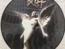 Angel Dust, Enlighten the Darkness, Picture Disc Vinyl, Top Zustand, neuwertig