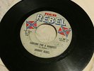 Johnny Rebel rare rockabilly hillbilly reb rebel 511 big Jim Federal aid 45 60s
