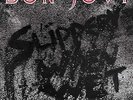Bon Jovi Slippery When Wet 12