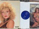 GINGER LYNN Adult Film Star FANTASY WORLD Porn Star 1986 MARK IV w/Photo DISCO