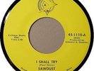 SAWDUST 45 RPM - RARE  1960s Garage Band Psyche