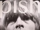 BRIAN JONESTOWN MASSACRE , The - Mini Album Thingy Wingy - Vinyl (LP)