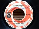 Los Exagerados - LABASTA / CHOMBO KILLER DESCARGA PANAMA - ORG. ISTMENOS 45 hear
