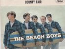 The Beach Boys 