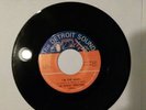 The Detroit Vibrations - I'm the Man (Garage / Blues / Rock) - Super Rare