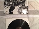 Pungent Stench / Disharmonic Orchestra - Split
