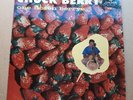 Chuck Berry One Dozen Berrys UK vinyl LP VG/VG Plum London Mono 1958 1st press