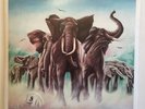 Elvis Costello And The Attractions  ?– Armed Forces - Radar Rec.?– RAD 14 - M/EX