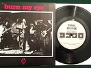 RADIO BIRDMAN   Burn My Eye UK 1987 Total Eclipse 1st edition #875 7