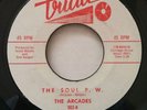 The Arcades - The Soul P.W.  Rare Original Northern Soul 45 Triad