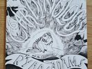 Ryan Adams - Cardinology original 2008 white vinyl LP + 7