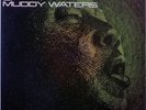 MUDDY WATERS / THE BEST OF MUDDY WATERS / BLUES / VICTOR JAPAN