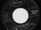 THE EPICS - Mercury 72283 - WHITE CLIFFS OF DOVER  JAMES BROWN Production