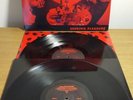 The Aloof - Seeking Pleasure Vinyl LP Album Original 1998